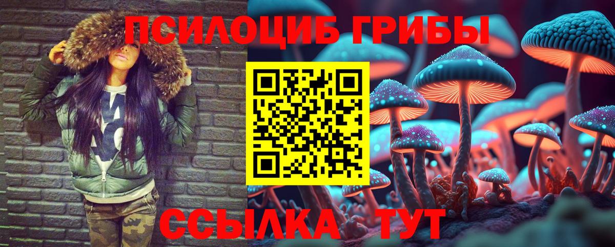 что такое   Вход с VPN  Тула  Галлюциногенные грибы GOLDEN TEACHER 